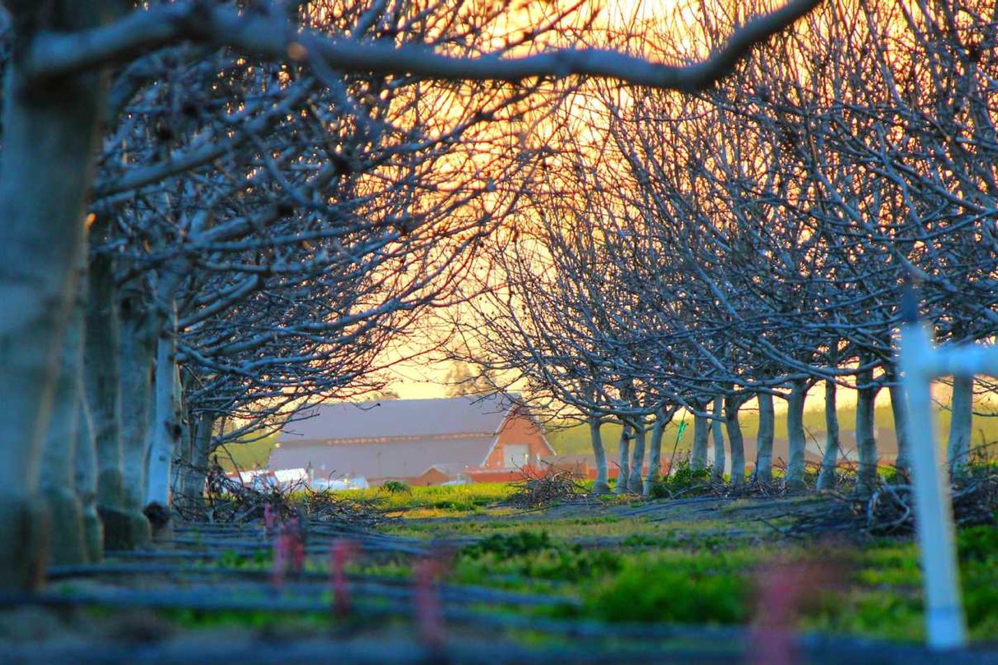 Sit beatae neque ab quis officia